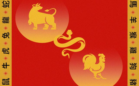 Snake Monkey Compatibility: Can These Two Zodiac Signs Find Love?