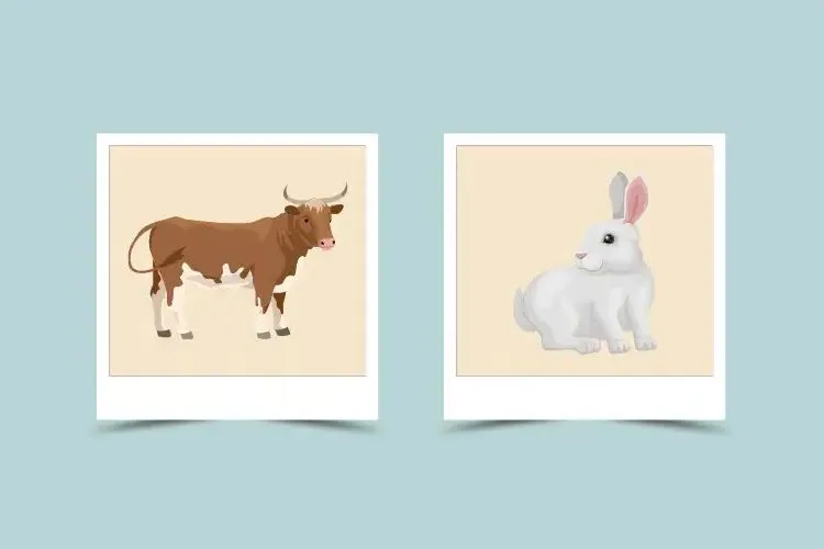 190bdc2442b4610da4e9e16717450a36 Rabbit and Ox Compatibility: Love, Challenges for friends!