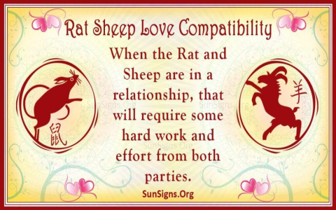 Dog Male and Rat Female: Will This Zodiac Match Work?