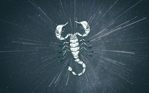 Your Guide to Nov 8 Birthday Personality and Zodiac Sign.