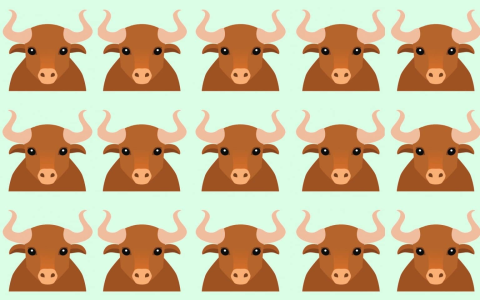May 9th Birthday Personality Guide: Love, Career, and More for Taurus.