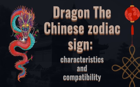 Dragon and Boar Compatibility: Are They a Good Match in Love and Life?