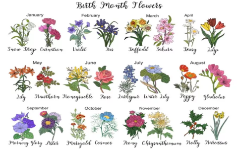 17th March Birthday: Whats Your Personality Like? (Traits & More)