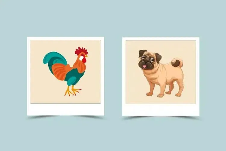 362b7f1a75f09a5ed38b5763fa4e727d Dog and Rooster Compatibility: Will these two signs get along well in love and life?