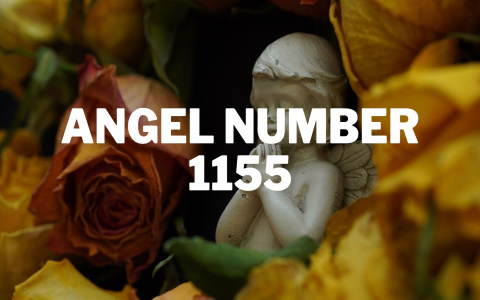 Is Your Destiny Number 11? Discover the Powerful Meaning Now!