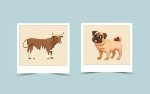 Tiger and Ox Compatibility: Can This Zodiac Pair Find Love?
