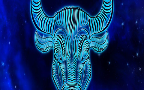 Costar Taurus and Career: Find Your Best Path Now
