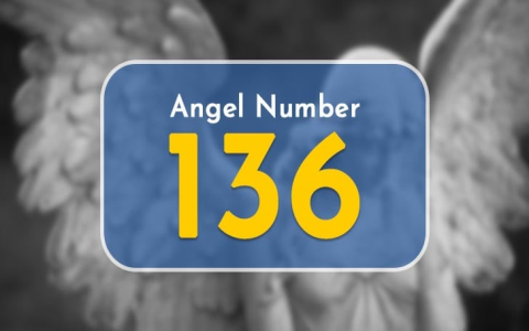 Seeing 853 Angel Number? (Simple Explanation of the meaning)
