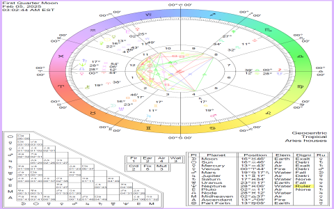 February 8 Birthday Meaning: Astrology and Horoscope for Aquarians