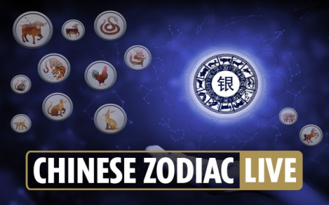 Are Rooster and Tiger Compatible? A Simple Zodiac Love Check!