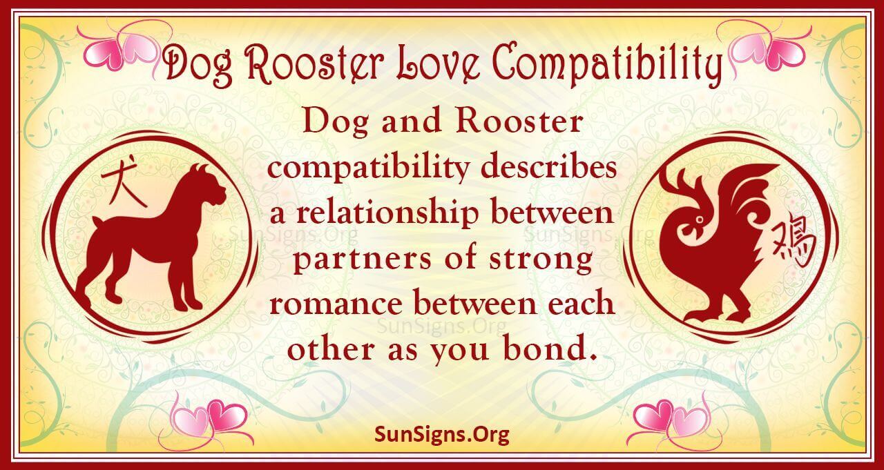 547c1b12944b2d2720d289a97e2cd939 Dog and Rooster Compatibility: Will these two signs get along well in love and life?