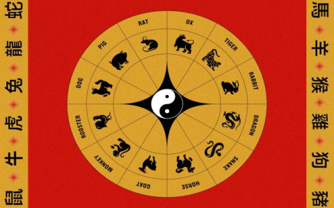 Dog and Rooster Compatibility: Will these two signs get along well in love and life?