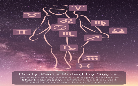 December 14th Birthday Personality: Are You a True Sagittarius?