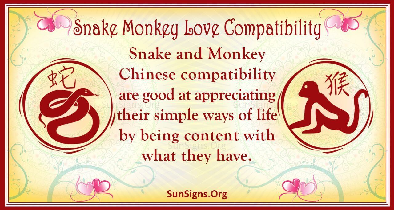 8699615b6879ac4be600544bdacbe55d Snake Monkey Compatibility: Can These Two Zodiac Signs Find Love?