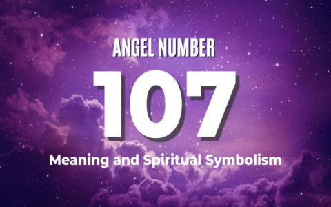 464 Angel Number Meaning: What Is This Powerful Number Trying to Tell You?