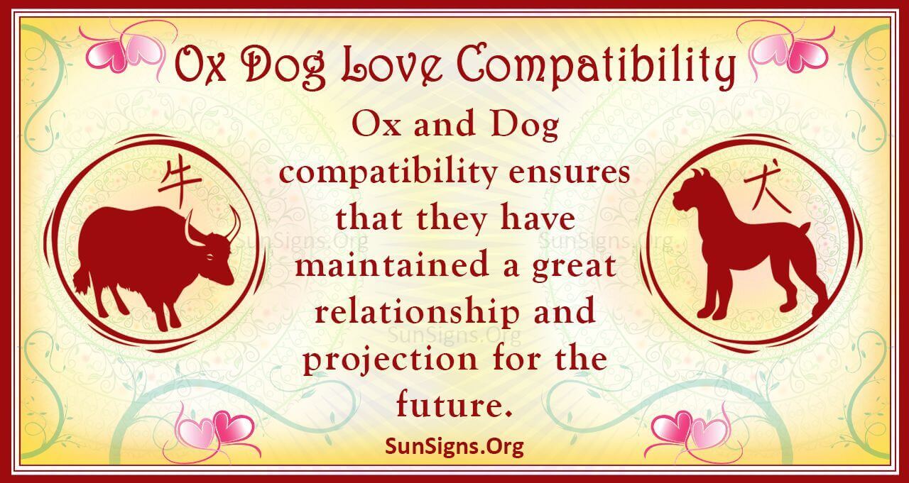 888846db50d72926884f390c79ddb924 Dog and Ox Love Match: See if They are Meant to Be!