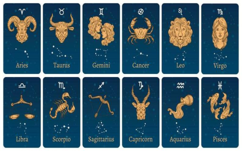 Zodiac Cards and Astrology: Link the Starts to Every Card.