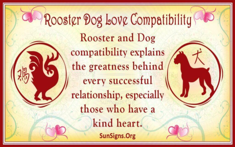 Virgo Rooster Man: Whats He Really Like? (Understand His Traits and Find Love)