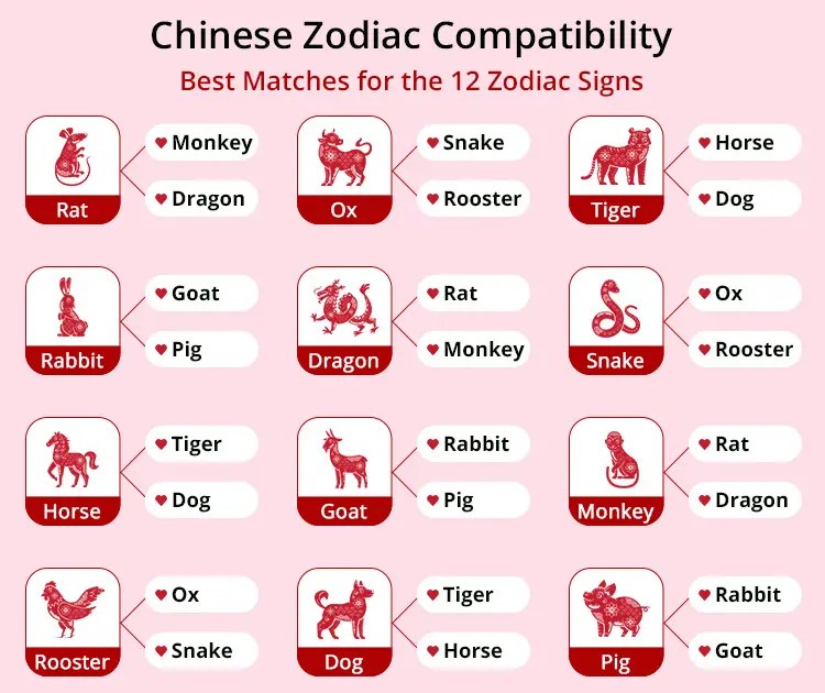 a32f41ef858a7967f8f92e133461ade9 Are Tiger and Rat Compatible? Zodiac Insights For This Unique Match.