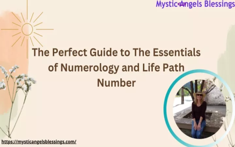 The Meaning of 31 in Numerology: A Guide to its Energy and Influence.
