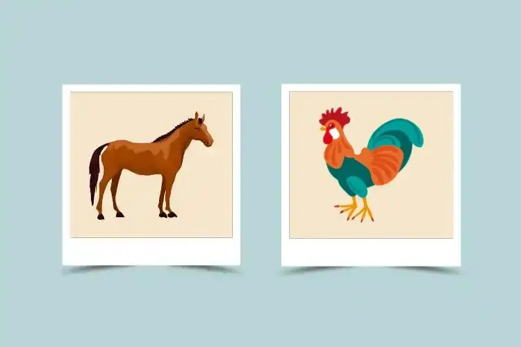 aa14d78eb48a198aecce12609df29650 Relationship Guide: Exploring Horse Man and Rooster Woman Zodiac Compatibility