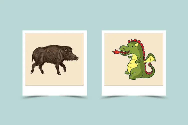 ada15dc167b2b3de8a3b391b6bb513e0 Boar and Dragon: A Good Match? Find out Their Relationship Compatibility.
