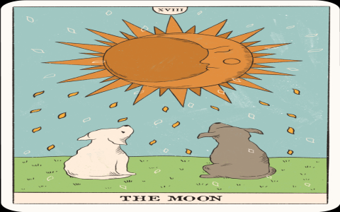 The Moon Reversed Yes or No in Love? Find Out Here!