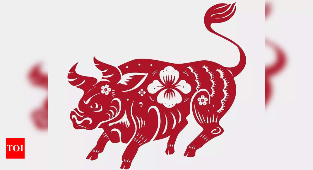 c5ccc9078f640cfbfd7a19c87f6a29b0 Capricorn and the Year of the Ox: A Straightforward Prediction