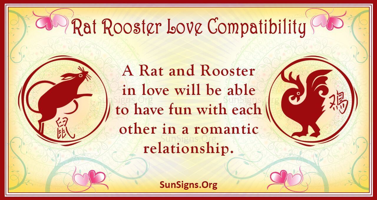 c663300f9a5a8cbbda9e4ef0aa3d1bf0 Are Rat and Rooster a Good Match? Find out Friendship!