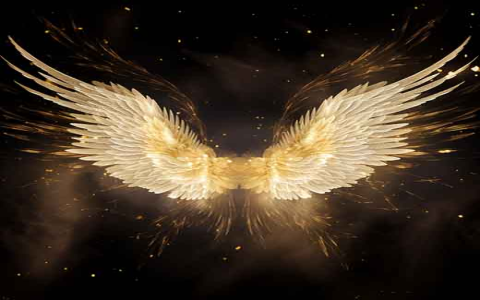 218 Angel Number Meaning: Simple Explanations for Everyday Life!
