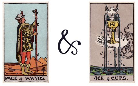 Is the Page of Wands Reversed a Yes or No? Tarot Secrets
