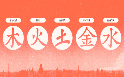 Zodiac Signs 1990: Whats Your Sign? (Find Your Horoscope Here!)