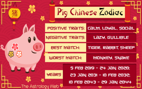 Rooster Man + Goat Woman: Are They a Good Match?