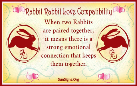 Rabbit and Ox Compatibility: Love, Challenges for friends!
