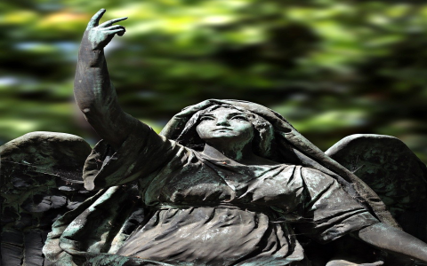 Is 5666 Your Angel Number? Find out its profound meaning now.