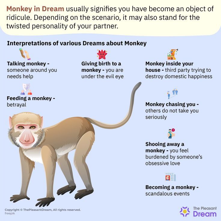 53ad7f1cad8c7b87c8fd8ccd8472a69a Dream Monkey Meaning: Explore the Symbolism in Your Dreams!