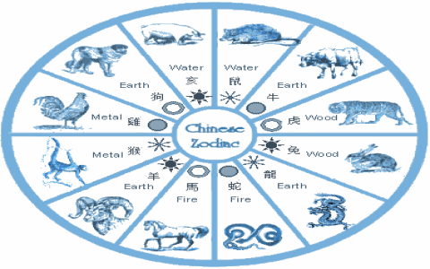 Horse and Rat Compatibility: Will This Zodiac Pair Work Out? (Simple Guide)