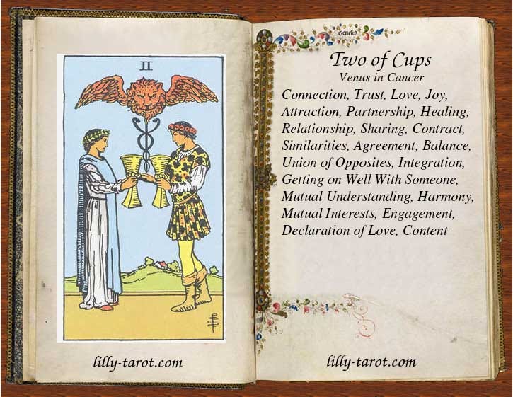 8535bf3b8ac4fdb944299f82146f432c Two of Cups as a Person: Are They Your Perfect Match?