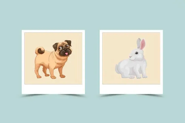 89180b7d7094dc9dbb88e3d7275eb279 Understanding Dog and Rabbit Compatibility: A Quick Look!
