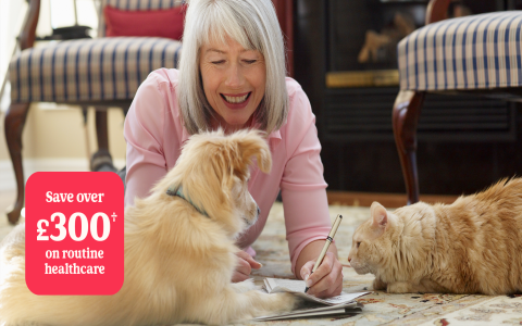 Free Animal Reading: Discover What Your Pet Is Really Thinking!
