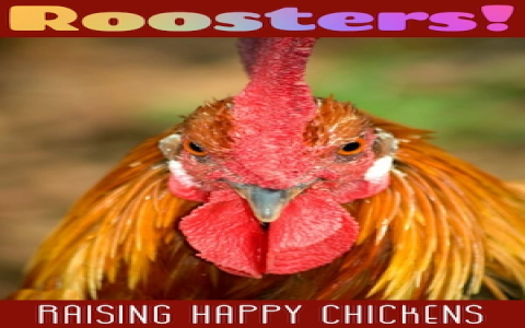 Rat and Rooster Relationship Guide: Understanding the Ups and Downs