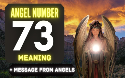 Decode 736 Angel Number: A Quick Guide to its Spiritual meaning.